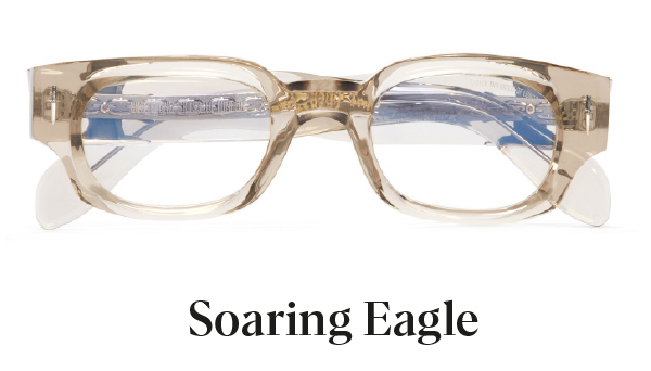 The Soaring Eagle Cutler and Gross X The Great Frog sunglass.